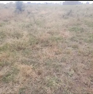 An Eighth Plot of Land for Sale