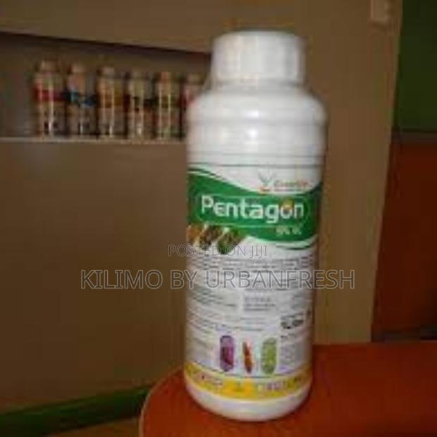 Pentagon 50 EC 50ML - main view