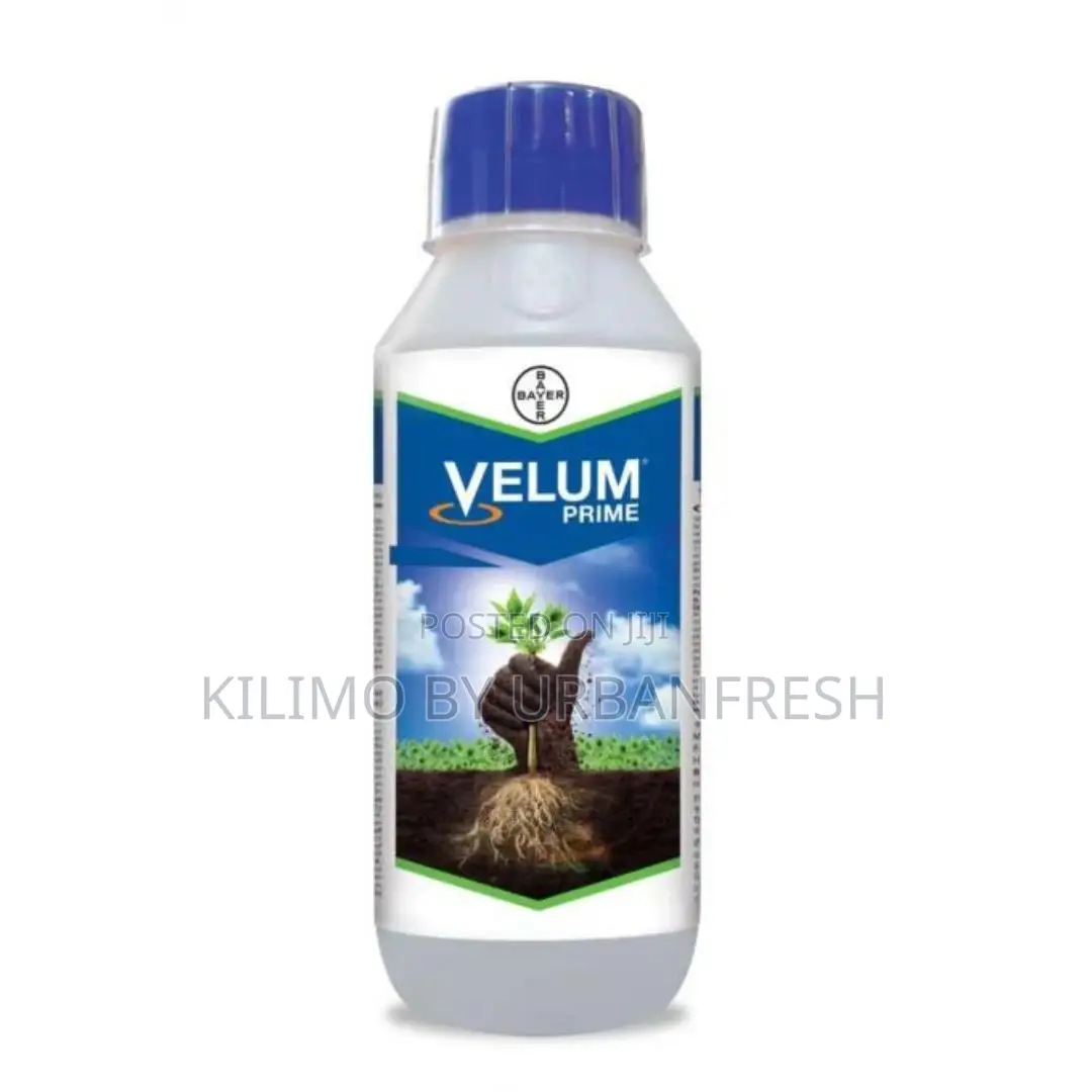 Velum Prime SC 500 50ML