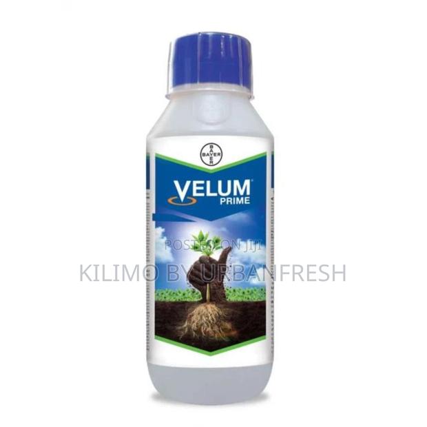 Velum Prime SC 500 50ML - main view