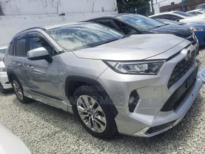 Toyota RAV4 LE AWD 2019 Silver