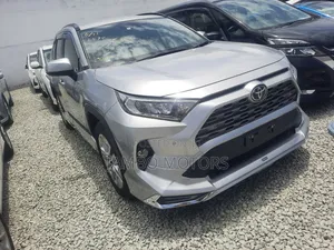 Toyota RAV4 LE AWD 2019 Silver