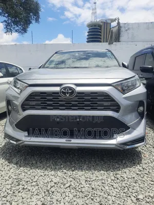 Toyota RAV4 LE AWD 2019 Silver