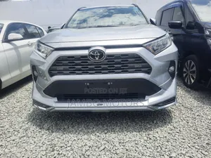 Toyota RAV4 LE AWD 2019 Silver