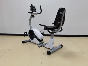 Recumbent Bike Exercise Bike Adjustable Length