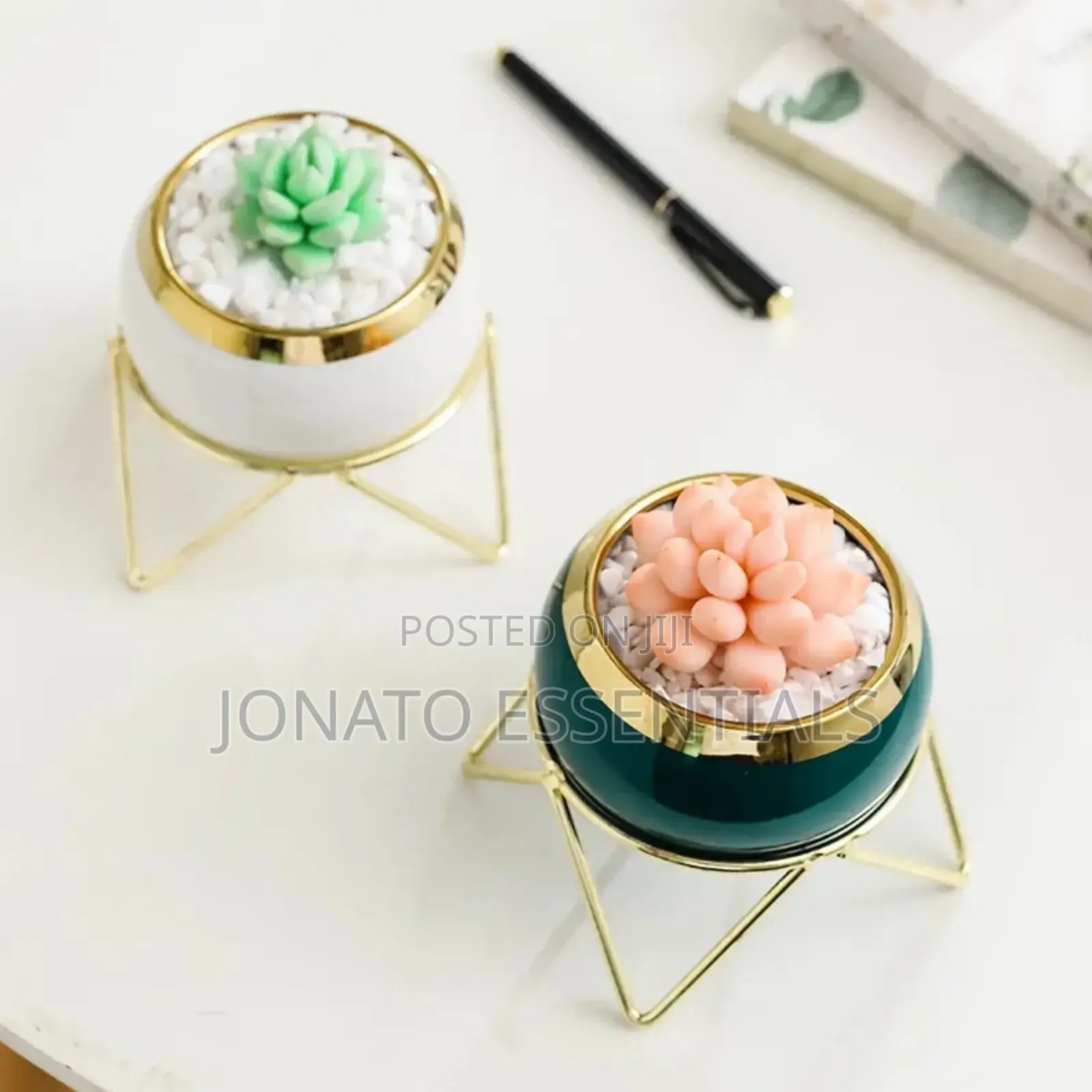 Nordic Succulent Plant Flower Pot No Flowers