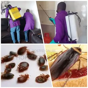 Quality Fumigation Services for Bedbugs and Cockroaches