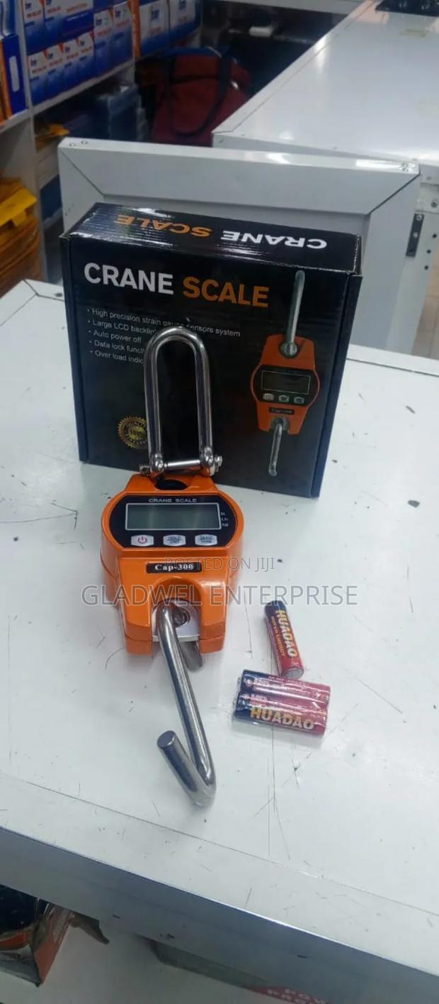 Crane Scale - main view