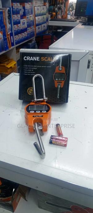 Clane Scale - thumbnail 2