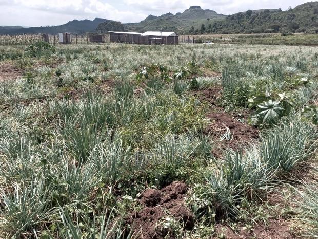 Land for Sale in Gilgil Diatomite - thumbnail 16