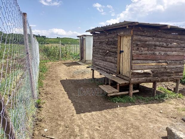 Land for Sale in Gilgil Diatomite - thumbnail 17