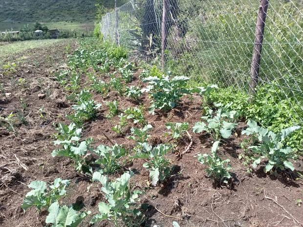 Land for Sale in Gilgil Diatomite - thumbnail 19