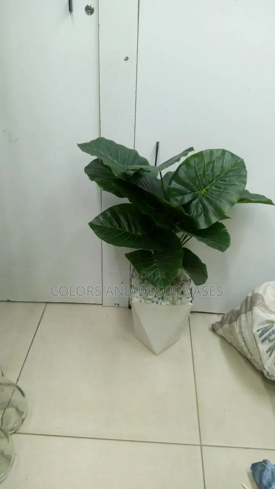 Green Plant With Vase Plus Pebble Stones