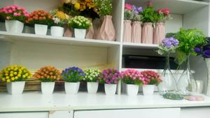 Flower Vases And Flowers Artificial