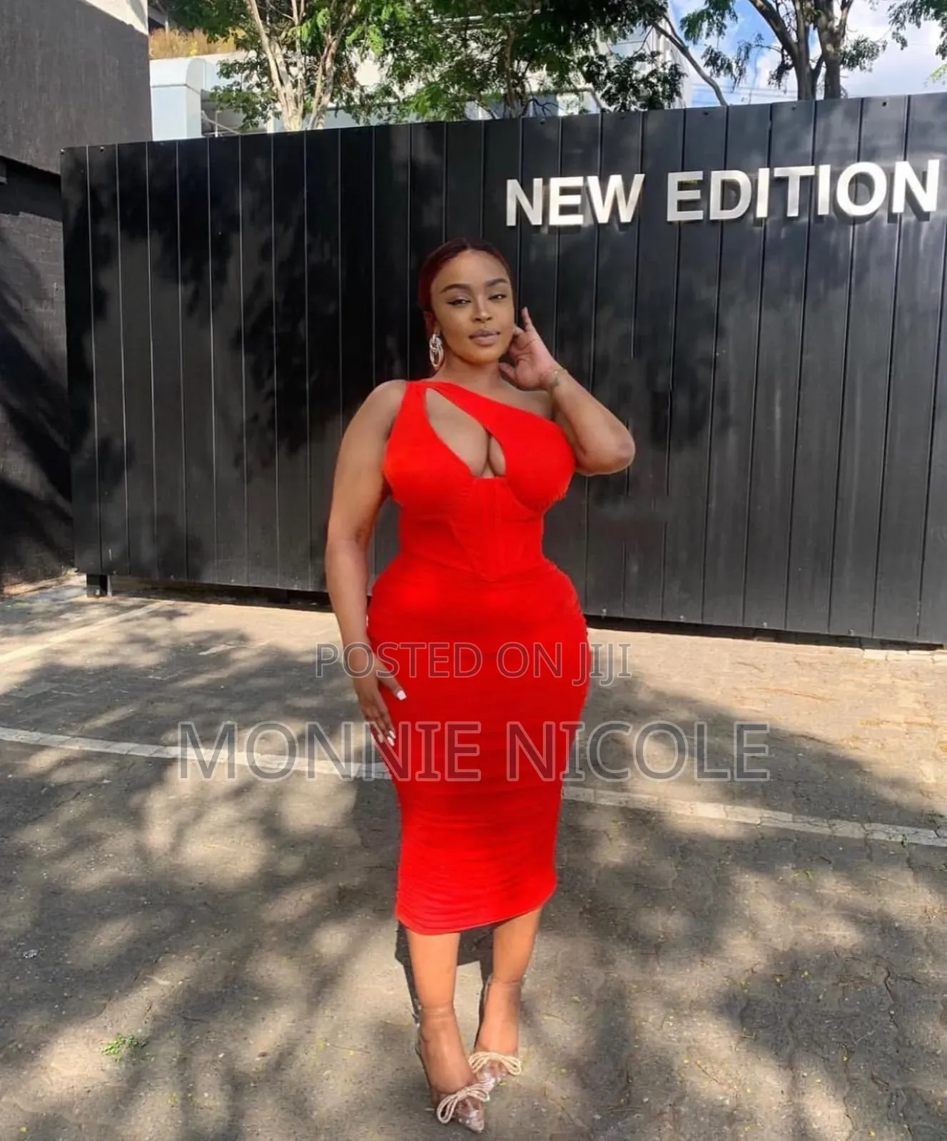 Fancy Stylish Red Dress/Dinner Dress