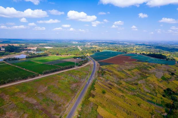 Timau Plains Plots for Sale - thumbnail 2