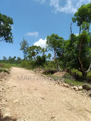Prime Plots in Mtwapa, 2.7 Km From Kilifi - Mtwapa Highway