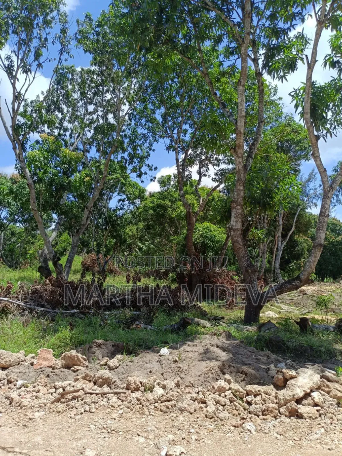 Prime Plots in Mtwapa, 2.7 Km From Kilifi - Mtwapa Highway