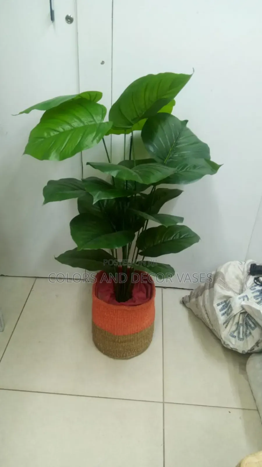 Corner Plant With Basket Variety Available
