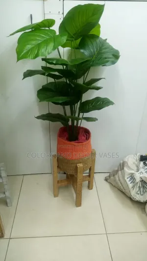 Glam Your Home With Affordable Plants And Vases,Plus Stands
