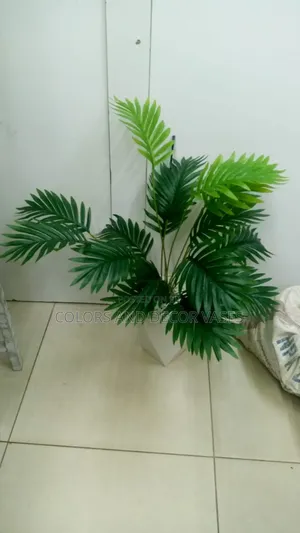 Palm Plants KSH 1500 With No Vase