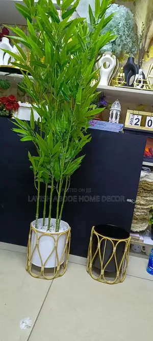 Bamboo Plant With Nordic Vase