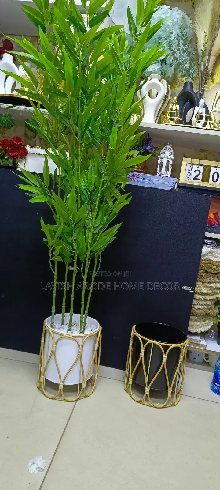 Bamboo Plant With Nordic Vase