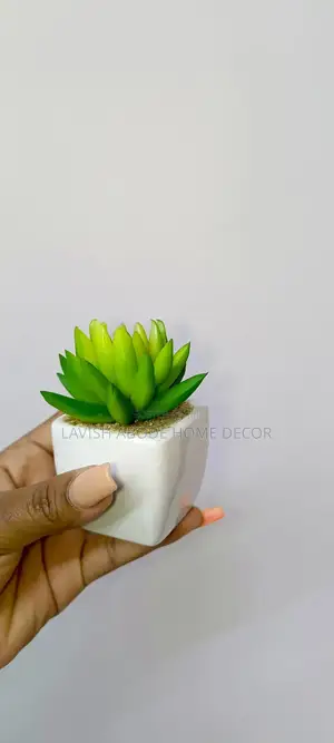 Small Succulents Flower Decor