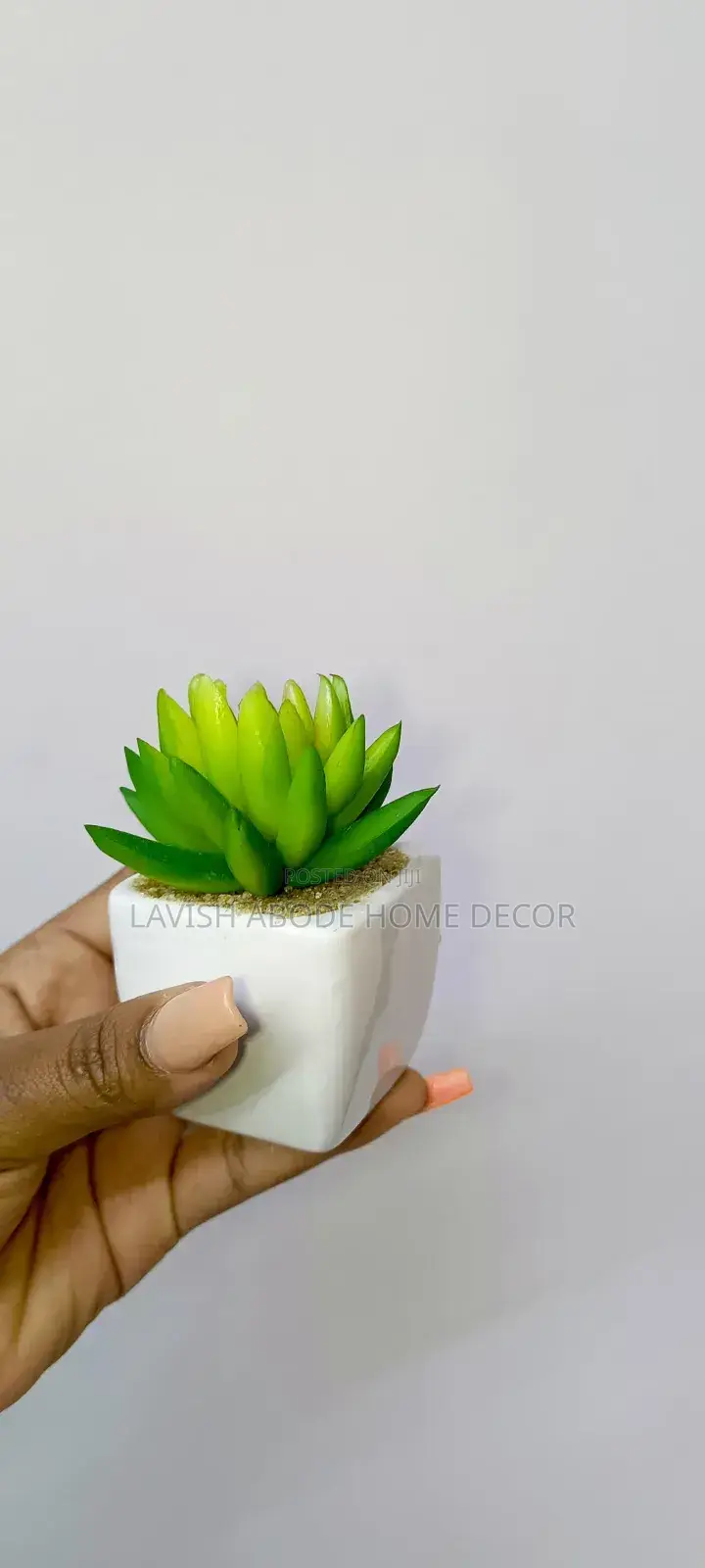Small Succulents Flower Decor
