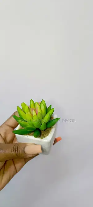Small Succulents Flower Decor