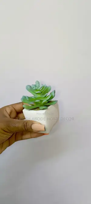 Small Succulents Flower Decor