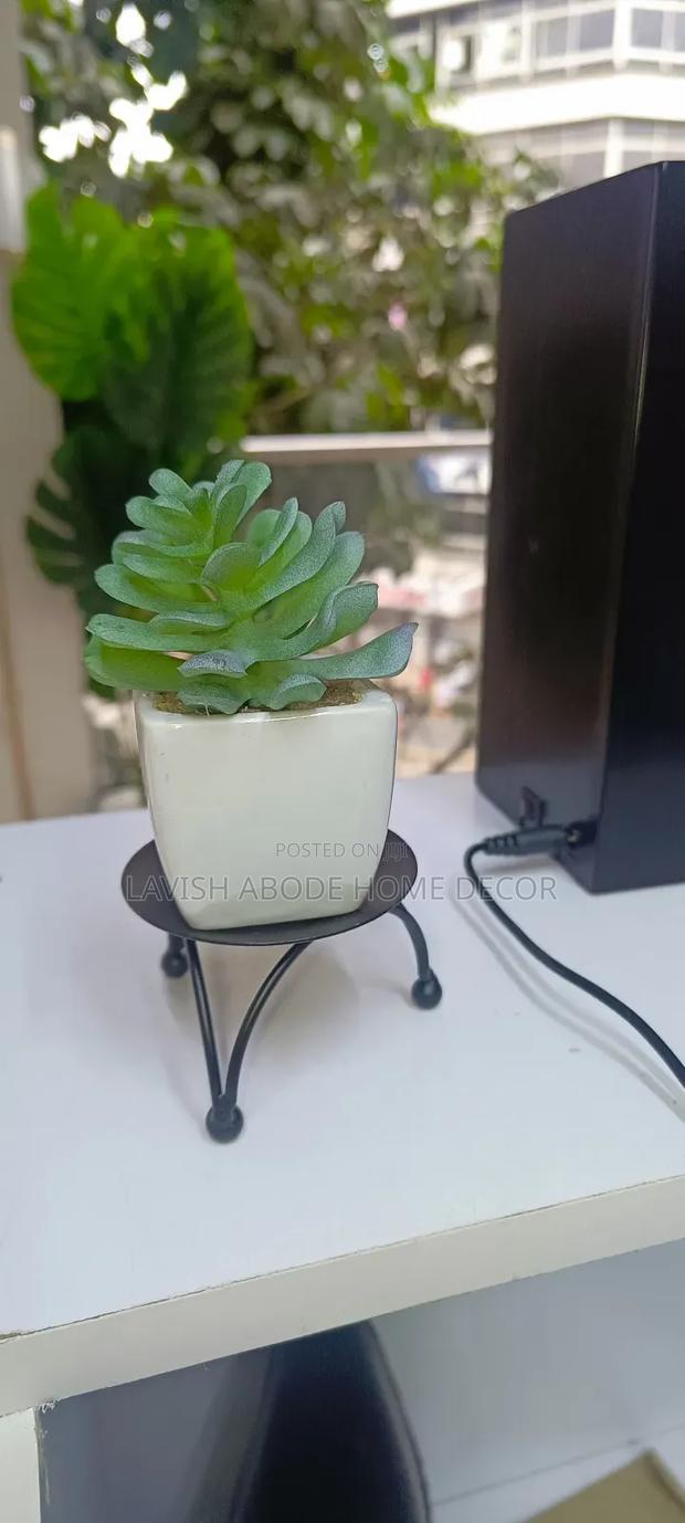 Succulent With Stand Holder - main view
