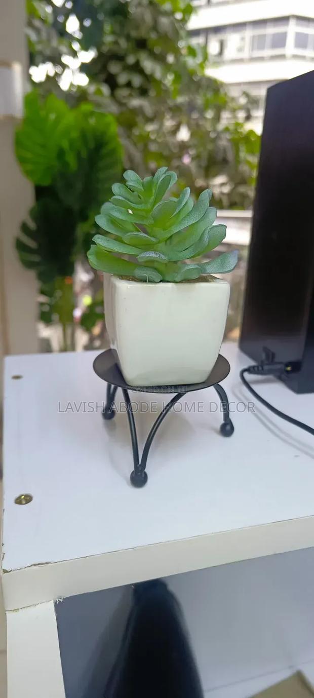 Succulent With Stand Holder - thumbnail 2