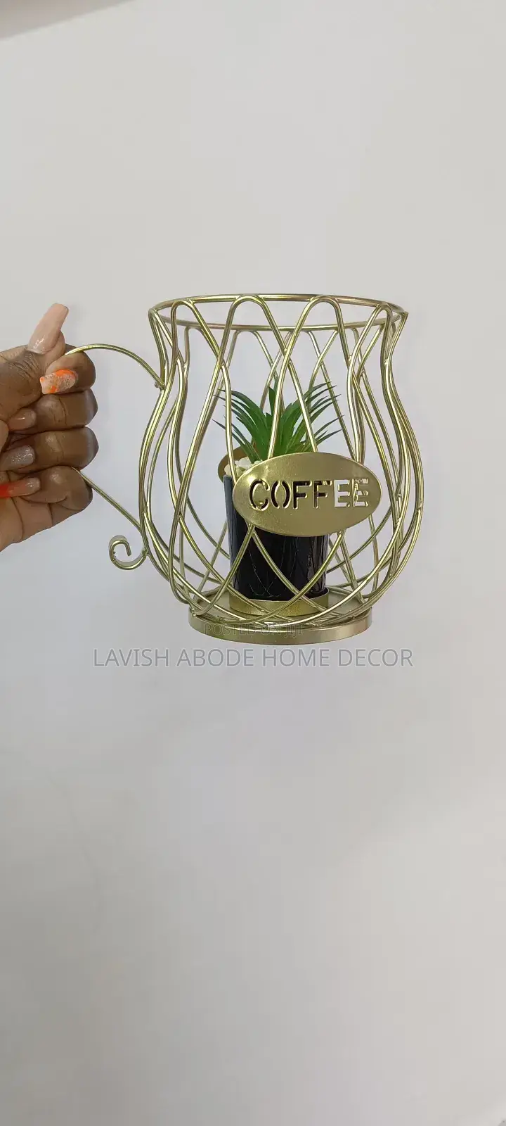 Coffee Succulent