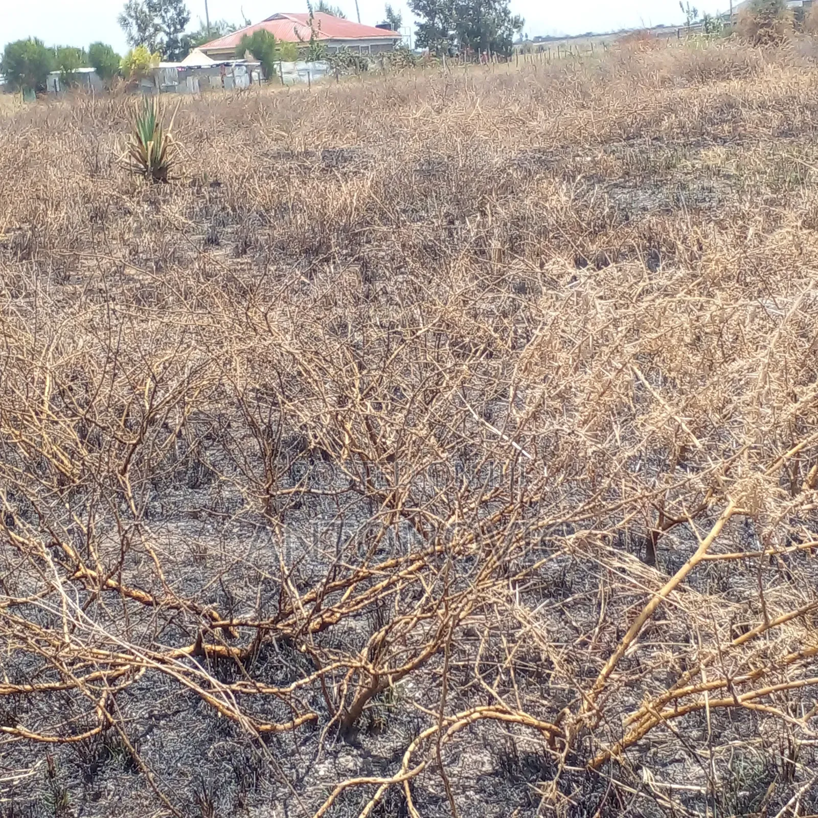 Cheap Plot at Joska-Ndovoini for Sale With Ready Title Deed