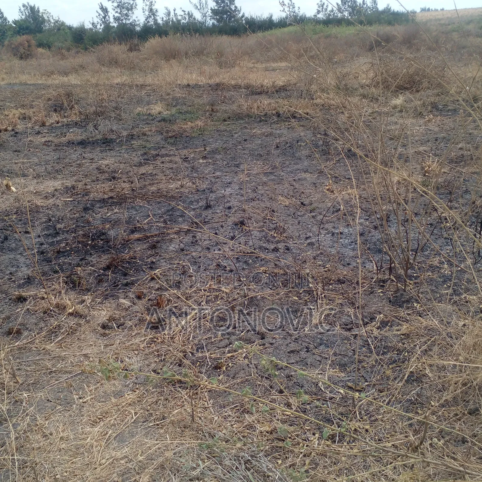 Cheap Plot at Joska-Ndovoini for Sale With Ready Title Deed
