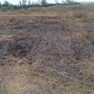 Cheap Plot at Joska-Ndovoini for Sale With Ready Title Deed