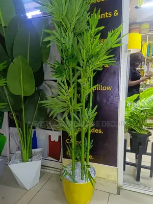 Bamboo Plant With Gold Vase