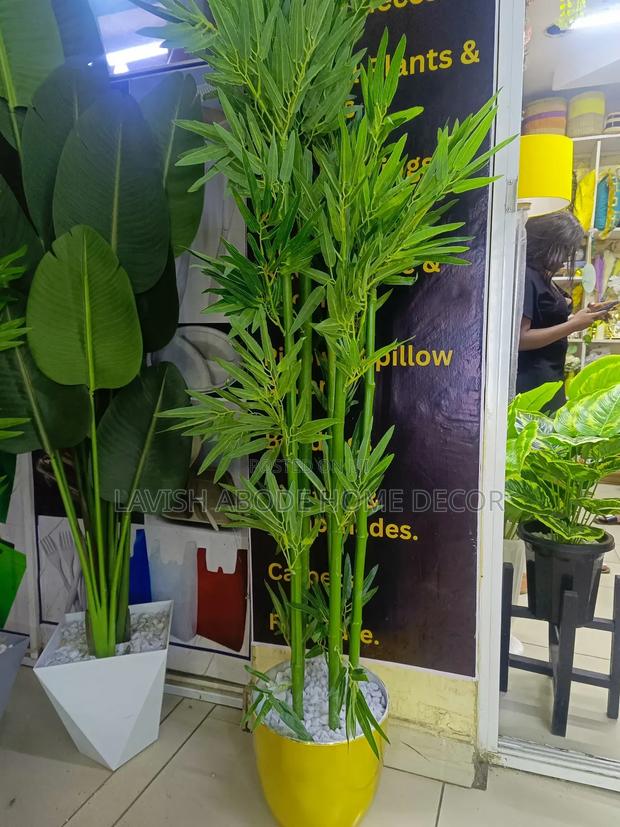Bamboo Plant With Gold Vase - main view