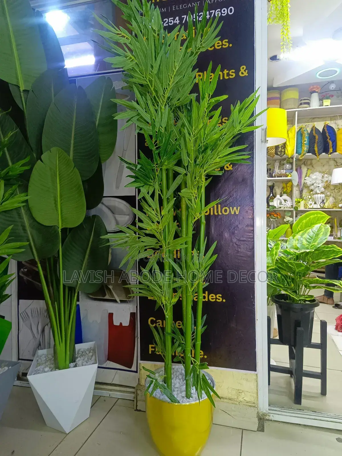 Banana Plant and Vase.