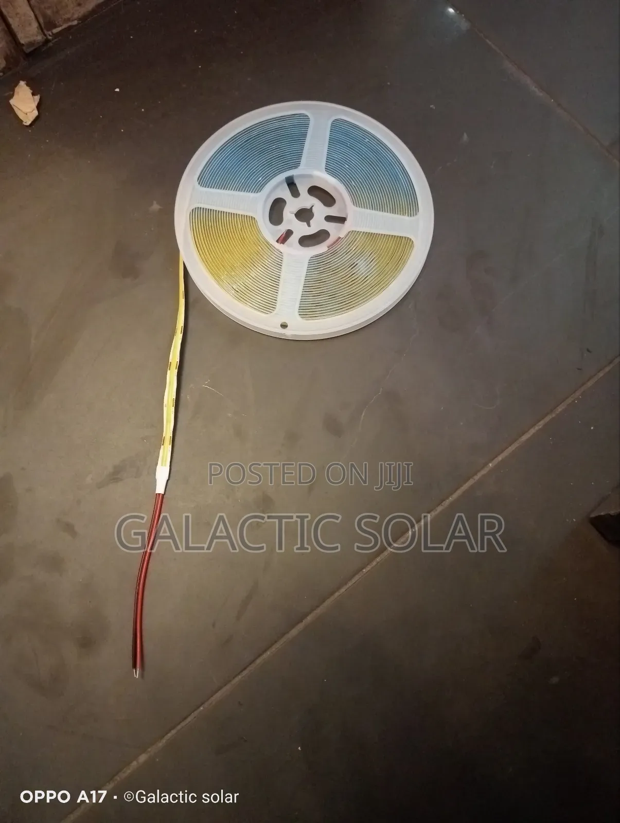 Spotless COB Cuttable Anywhere Led Strip 24v 10 Metres