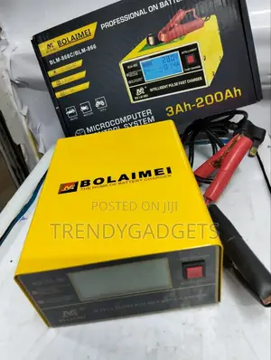 BOLAIMEI BLM-866 12v/24v Car Battery Charger Automotic