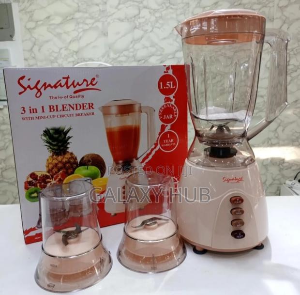 3in1 Signature Blender*
 Signature Make