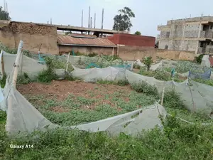 Prime 50x100 Plot for Sale in Migori Town CBD