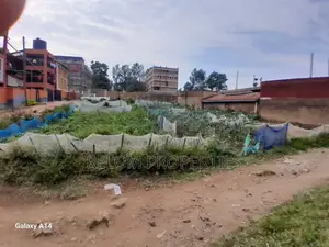 Prime 50x100 Plot for Sale in Migori Town CBD