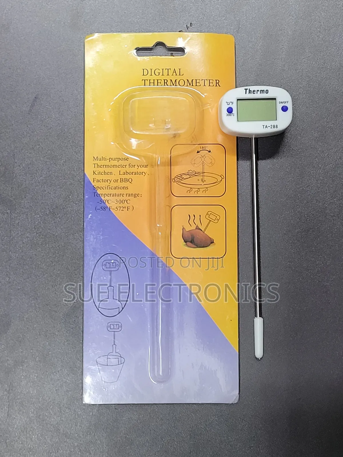 Electronic Thermometer
