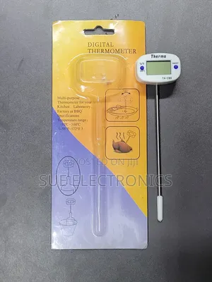 Electronic Thermometer