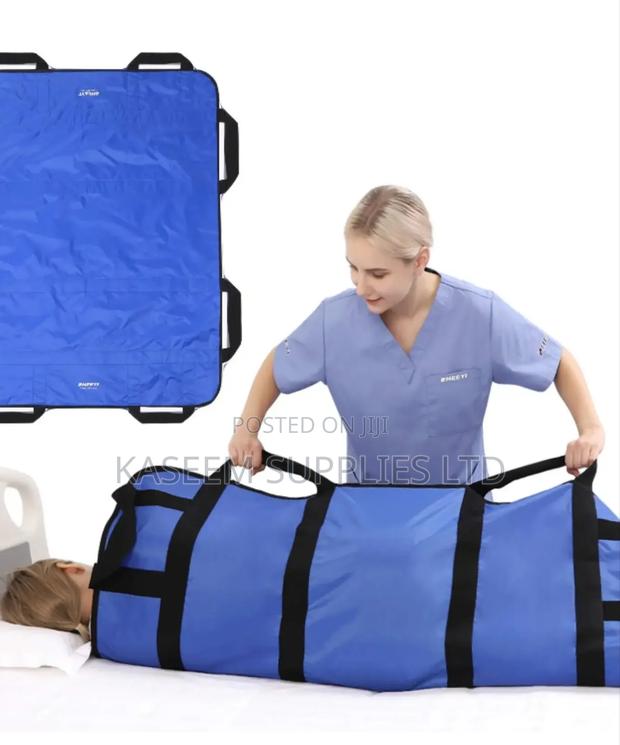 Patient Transfer Sheet - main view