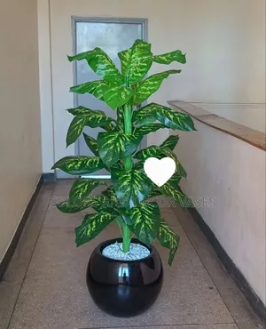 Green Yellow Plant With Round Plastic Vase