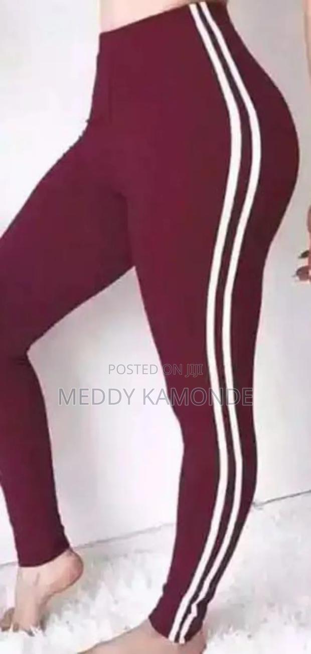 Classy Tights